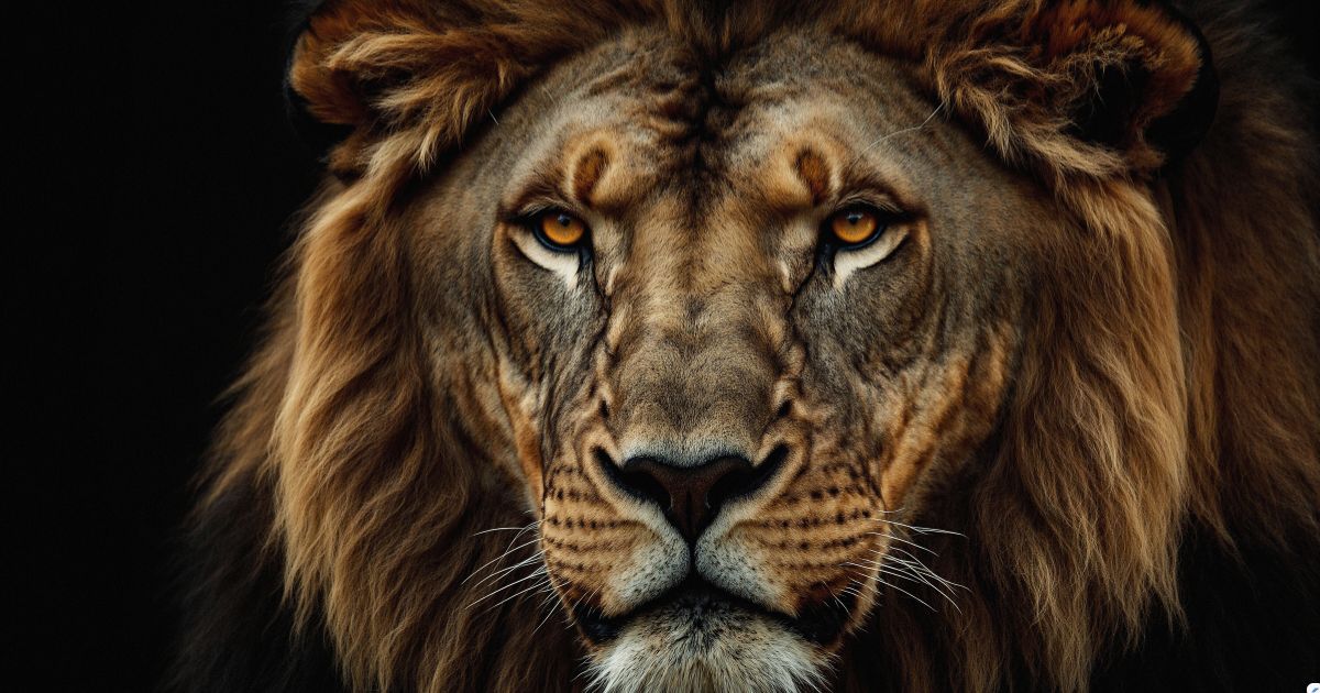 Le�o representando o Imposto de Renda e a Receita Federal simbolizando declara��o de investimentos e obriga��es fiscais