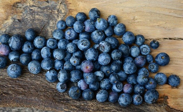 Frutas Liberadas para Seu Pet