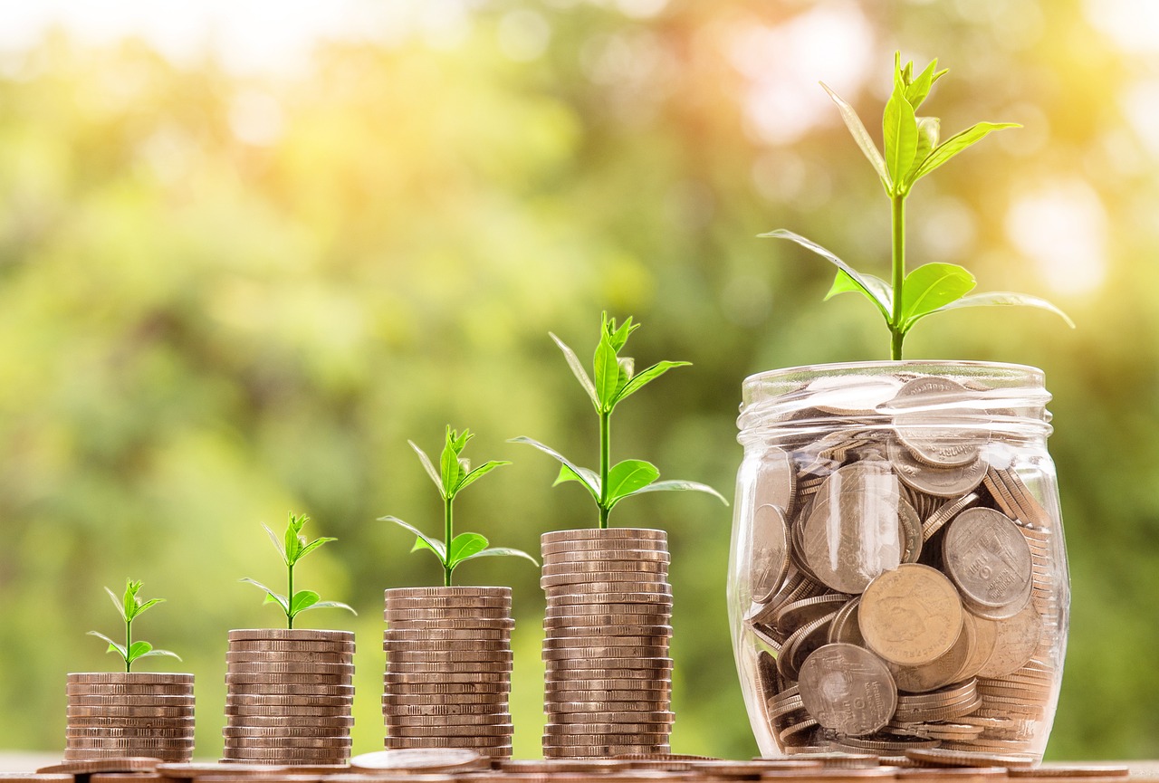 Geld das sich wie eine Pflanze vermehrt und wchst und gedeiht