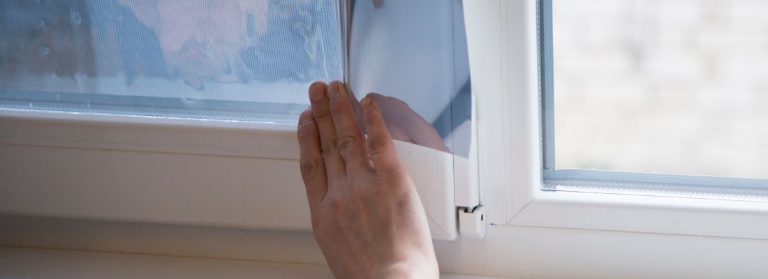 Right Security Film for Your School