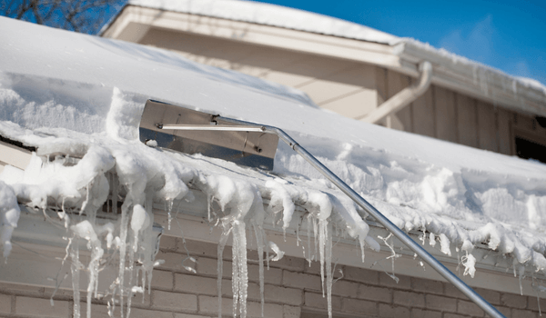 roof rake