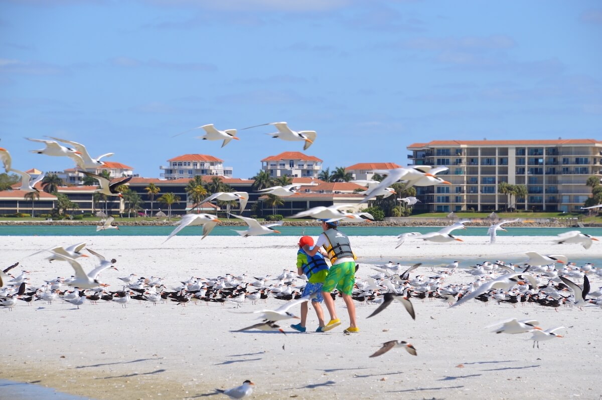 4 things you will be interested to know about eco-tourism in Naples and Marco Island thumbnail